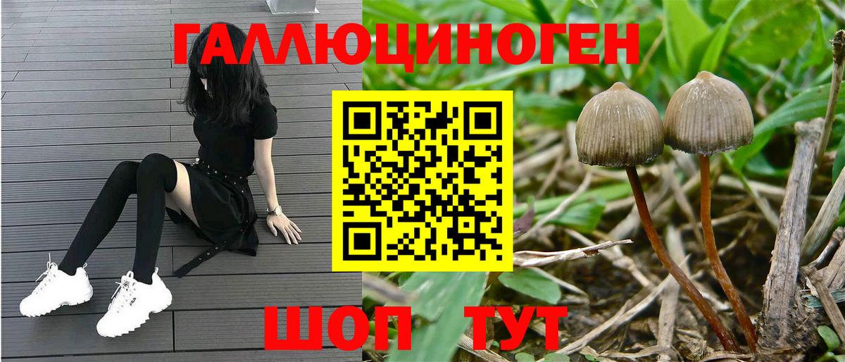 Псилоцибиновые грибы мицелий  Галлюциногенные грибы Psilocybine cubensis  цена   Вход с VPN  Красноармейск 